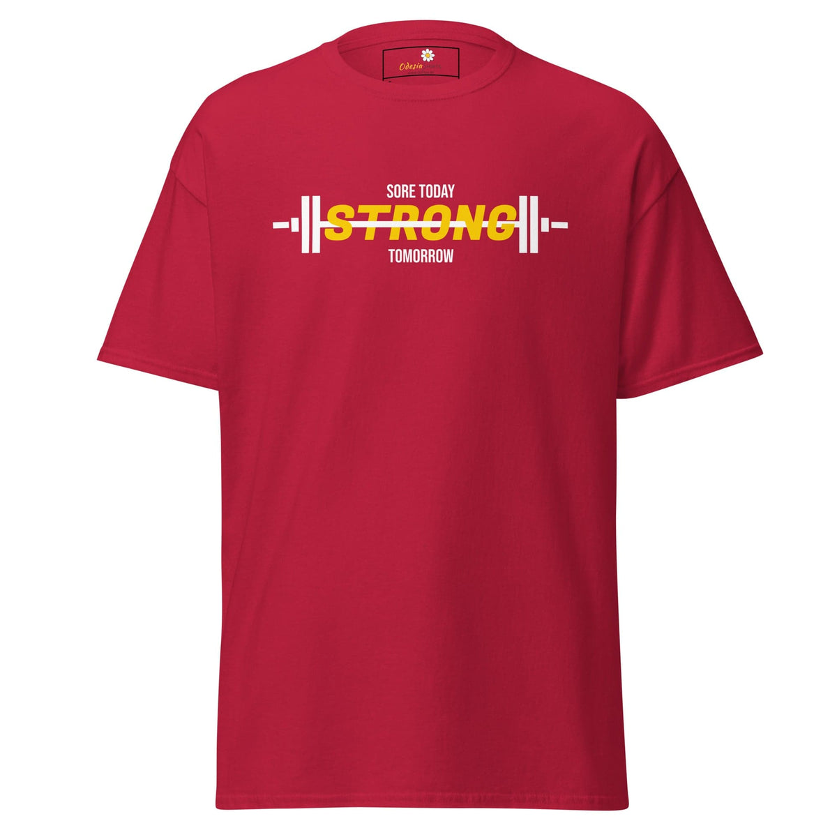 Unisex classic t-shirt - SPORT SORE TODAY - REGULAR - Cardinal / S
