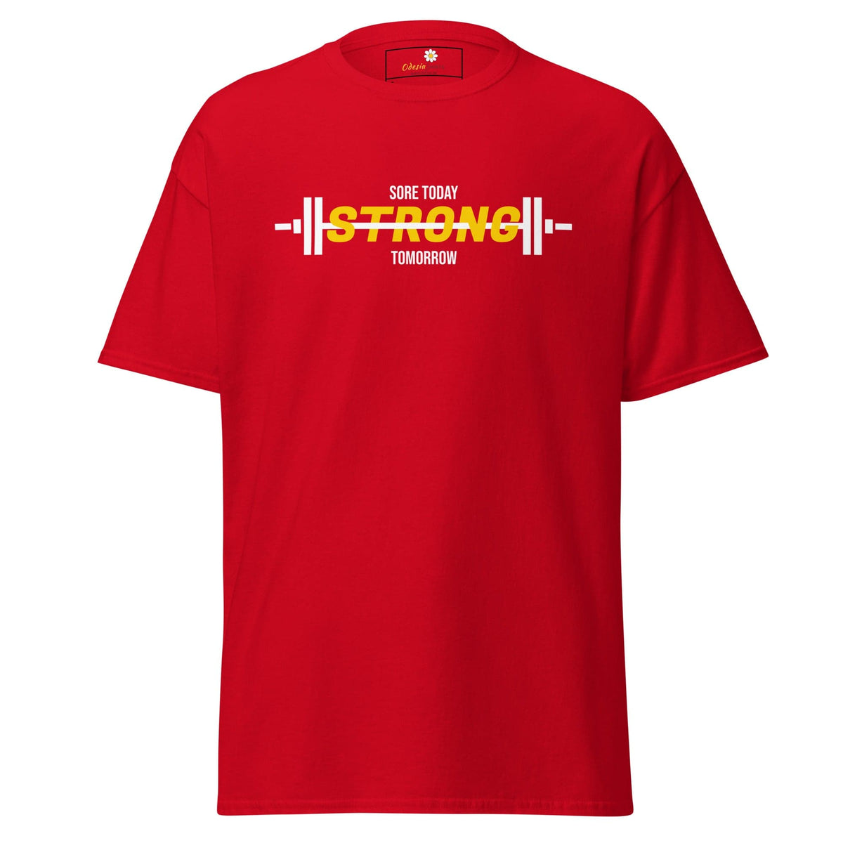 Unisex classic t-shirt - SPORT SORE TODAY - REGULAR - Red / S