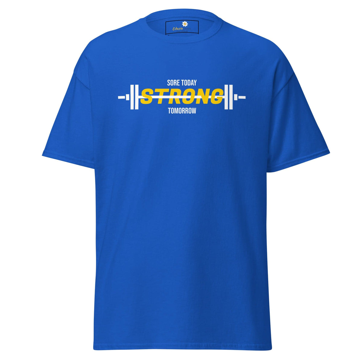 Unisex classic t-shirt - SPORT SORE TODAY - REGULAR - Royal / S